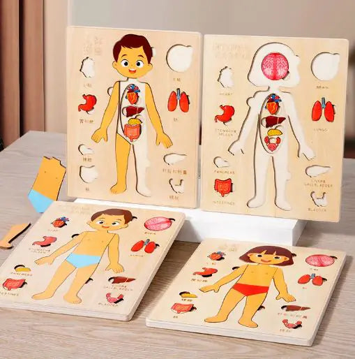 Puzzle Anatómico Infantil de Cuerpo Humano